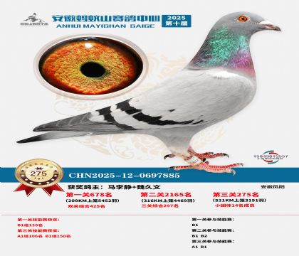 ��������ɽ����275��