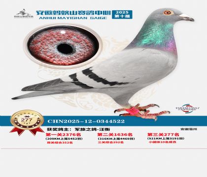 ��������ɽ����277��