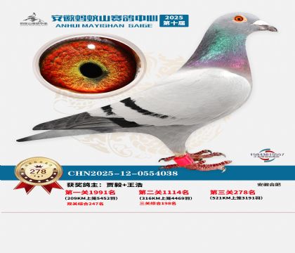 ��������ɽ����278��