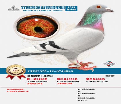 ��������ɽ����280��