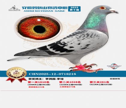 ��������ɽ����281��