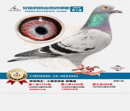 ��������ɽ����284��