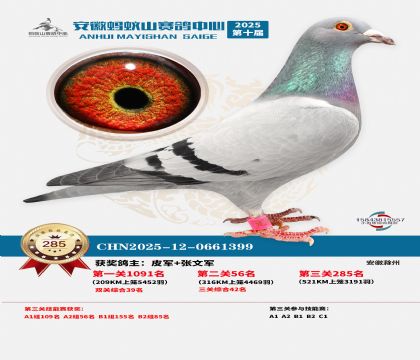 ��������ɽ����285��