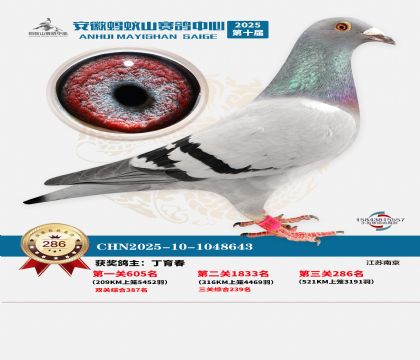 ��������ɽ����286��