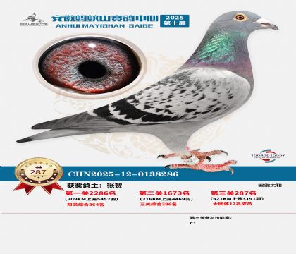 ��������ɽ����287��