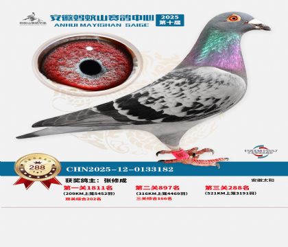 ��������ɽ����288��