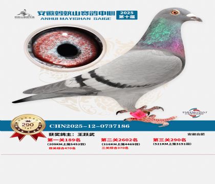 ��������ɽ����290��