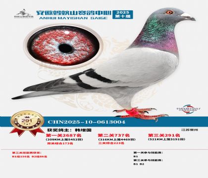 ��������ɽ����291��