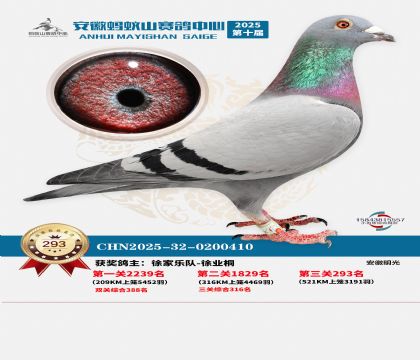 ��������ɽ����293��