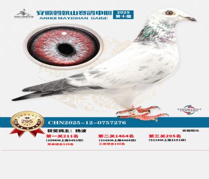 ��������ɽ����295��