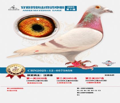 ��������ɽ����297��