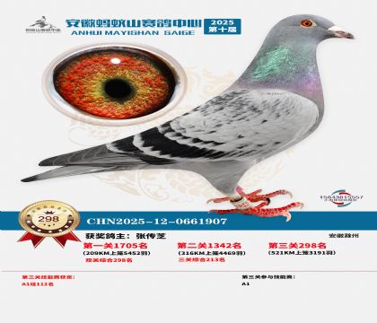 ��������ɽ����298��