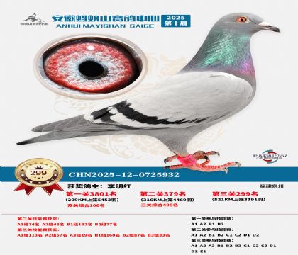 ��������ɽ����299��