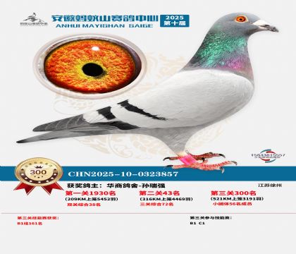 ��������ɽ����300��