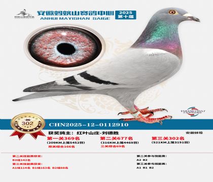 ��������ɽ����302��