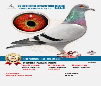 ��������ɽ����303��