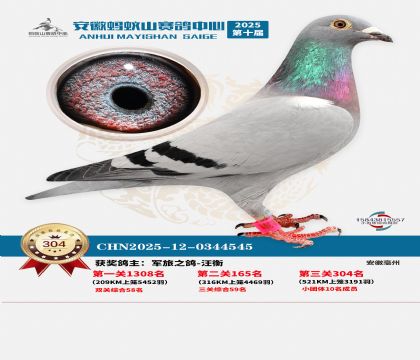 ��������ɽ����304��