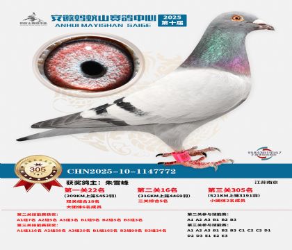 ��������ɽ����305��