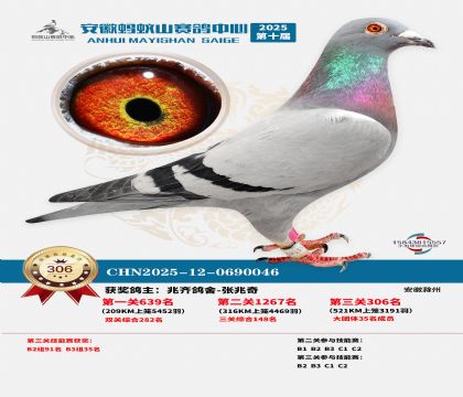 ��������ɽ����306��