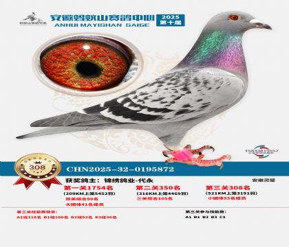 ��������ɽ����308��