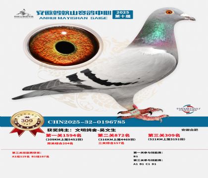 ��������ɽ����309��