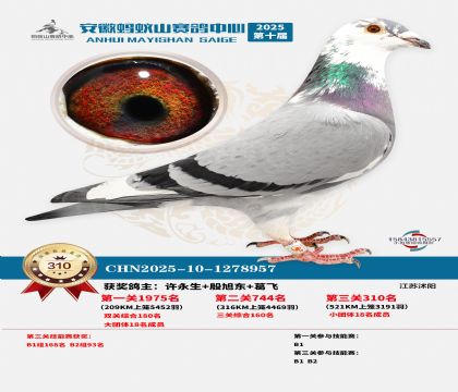 ��������ɽ����310��