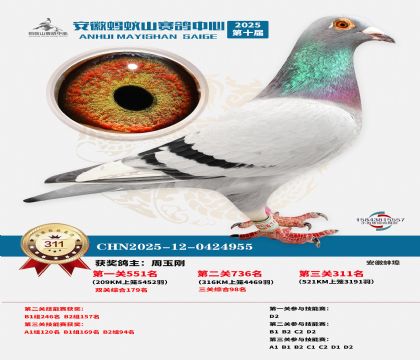 ��������ɽ����311��