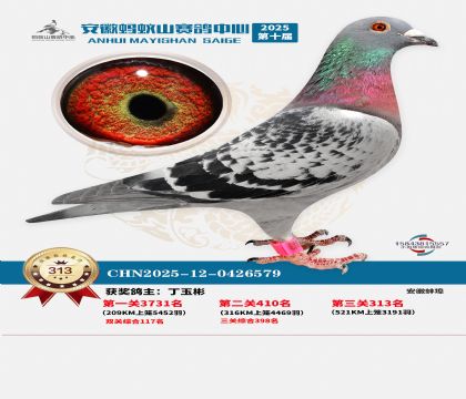 ��������ɽ����313��