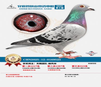 ��������ɽ����315��