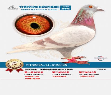 ��������ɽ����316��