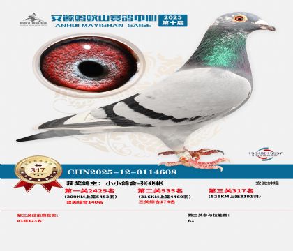 ��������ɽ����317��