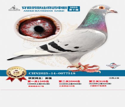 ��������ɽ����318��