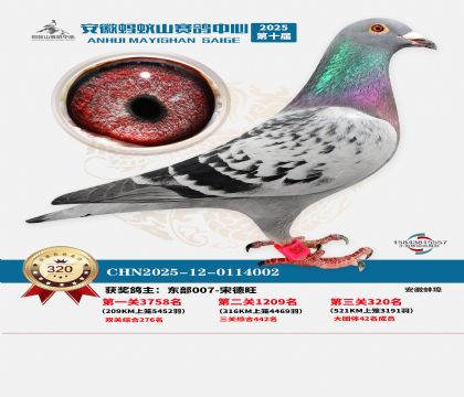 ��������ɽ����320��