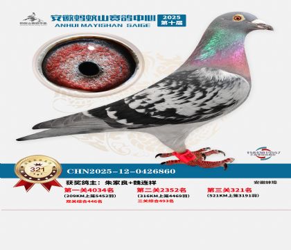 ��������ɽ����321��