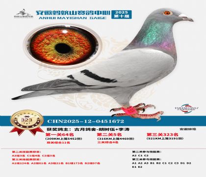 ��������ɽ����323��