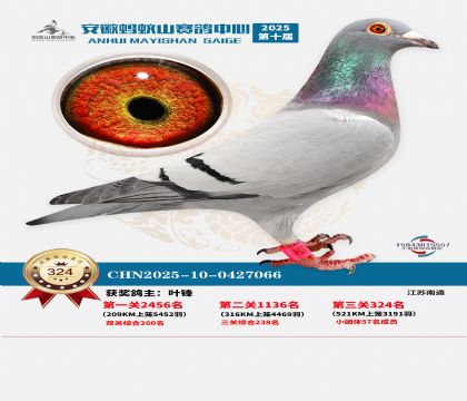 ��������ɽ����324��