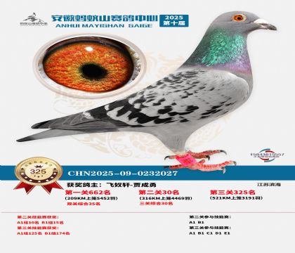 ��������ɽ����325��