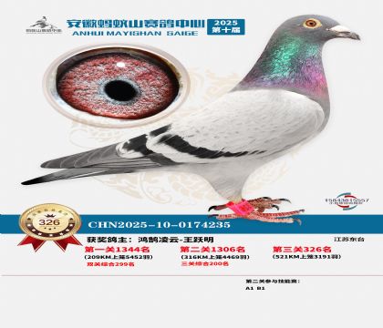 ��������ɽ����326��