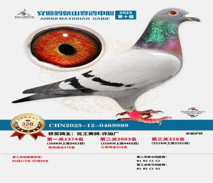 ��������ɽ����328��