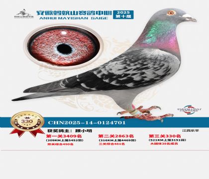 ��������ɽ����330��