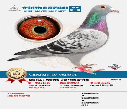 ��������ɽ����332��