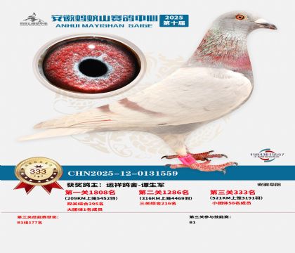 ��������ɽ����333��