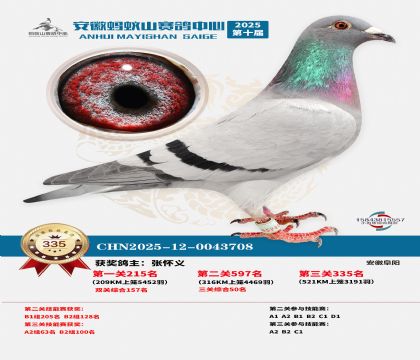 ��������ɽ����335��