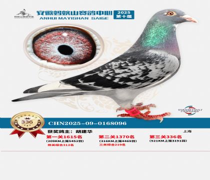 ��������ɽ����336��