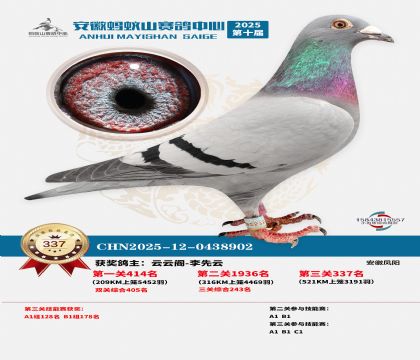 ��������ɽ����337��