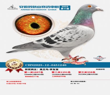 ��������ɽ����338��