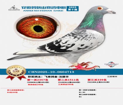 ��������ɽ����339��