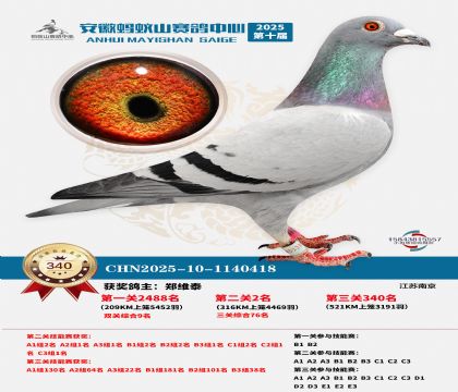 ��������ɽ����340��