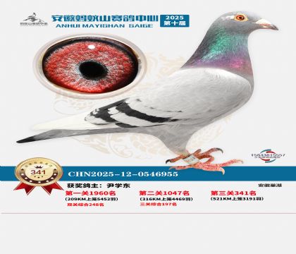 ��������ɽ����341��