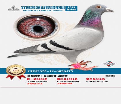 ��������ɽ����342��